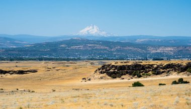 Columbia River Vadisi 'ndeki arka planda Hood Dağı olan tarım arazileri - Oregon, ABD