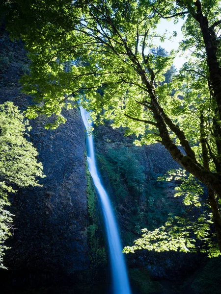 Horsetail Falls Columbia River Gorge Oregon Usa — стокове фото