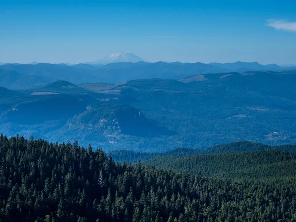 ラーチ山のシェラードポイントからのセント ヘレンズ山の眺め コロンビア川渓谷 オレゴン州 — ストック写真