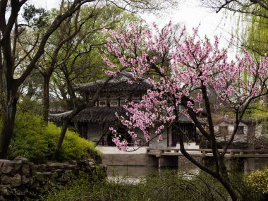 Suzhou, Çin - 23 Mart 2016: Mütevazı Yöneticinin Bahçesi, Suzhou 'nun en ünlü klasik bahçelerinden biri.