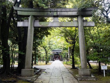 Tokyo, Japonya - 16 Ekim 2017: Akasaka Hikawa Tapınağı girişindeki Torii kapıları