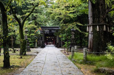 Tokyo, Japonya 'daki Akasaka Hikawa Tapınağı' nda.