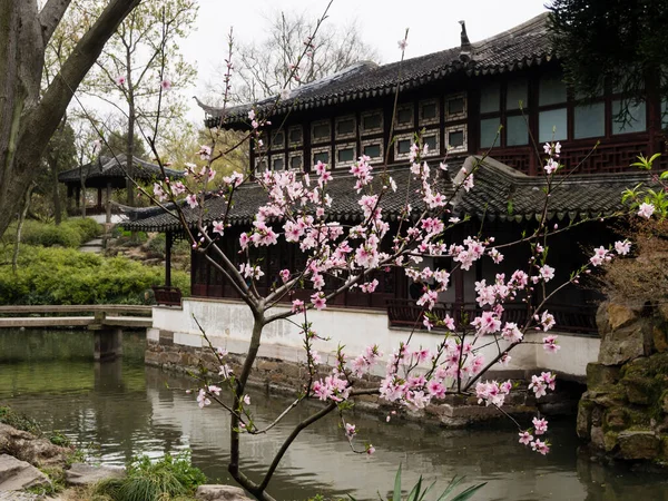 Suzhou China Maart 2016 Voorjaar Humble Administrator Garden Een Van — Stockfoto