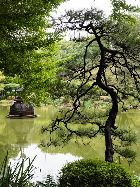 Estanque Unkei Jardín Japonés Tradicional Parque Hibiya Tokio Japón — Foto de Stock