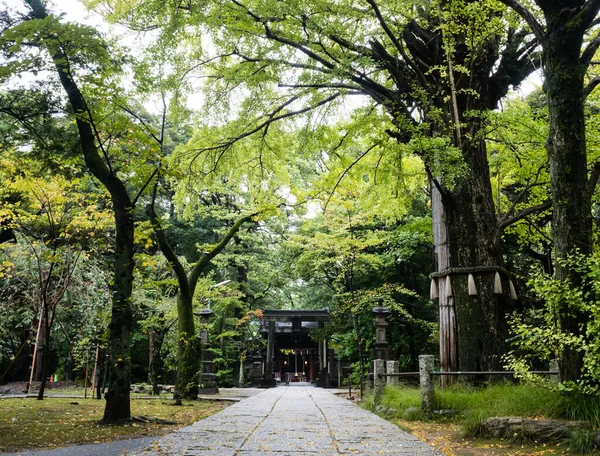 Sulla Base Del Santuario Akasaka Hikawa Tokyo Giappone — Foto Stock