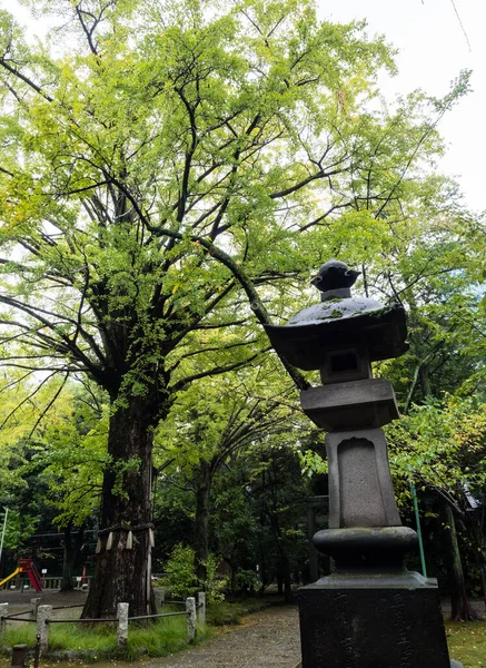Het Terrein Van Akasaka Hikawa Shrine Tokio Japan — Stockfoto