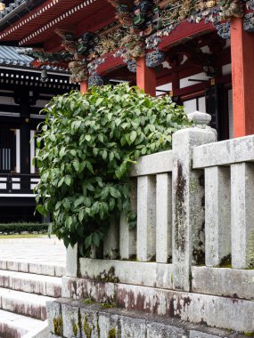 Minobu, Japonya - 19 Ekim 2017: Nichiren okulunun baş tapınağı olan Minobusan Kuonji 'de