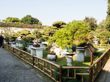Suzhou, Çin - 30 Ekim 2017: Suzhou 'nun en ünlü klasik bahçelerinden biri olan...
