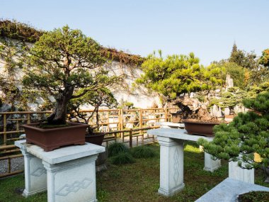 Suzhou, Çin - 30 Ekim 2017: Suzhou 'nun en ünlü klasik bahçelerinden biri olan...