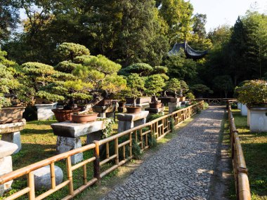 Suzhou, Çin - 30 Ekim 2017: Suzhou 'nun en ünlü klasik bahçelerinden biri olan...