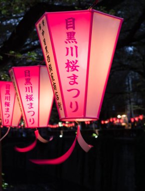 Tokyo, Japonya - 2 Nisan 2018: Meguro Nehri 'ndeki kiraz çiçeği festivali sırasında gece karanlığında kağıt fenerler yakıldı