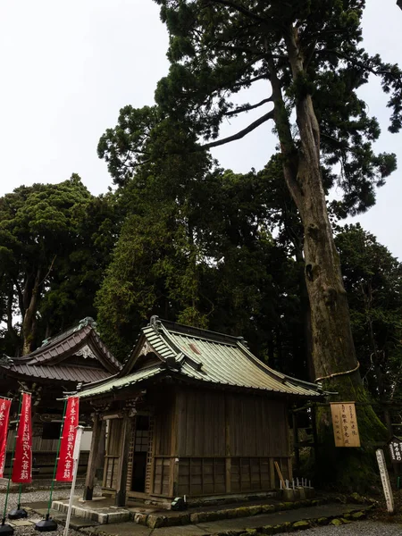 Minobu Japão Outubro 2017 Pavilhões Madeira Árvores Crescimento Antigas Okunoin — Fotografia de Stock