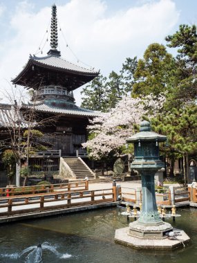 Naruto, Japonya - 2 Nisan 2018: Ryozenji 'de kiraz çiçekleri, Shikoku-henro haccının 1 numaralı tapınağı.