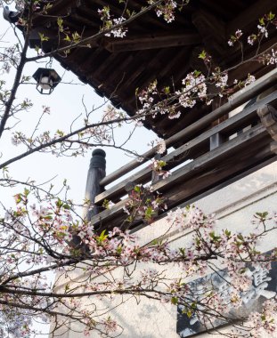 Tokushima, Japonya - 2 Nisan 2018 Jurakuji 'de ilkbahar, Shikoku hac yolculuğunun 7 numaralı tapınağı
