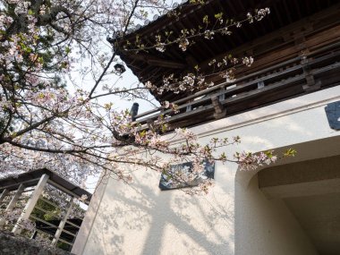 Tokushima, Japonya - 2 Nisan 2018 Jurakuji 'de ilkbahar, Shikoku hac yolculuğunun 7 numaralı tapınağı