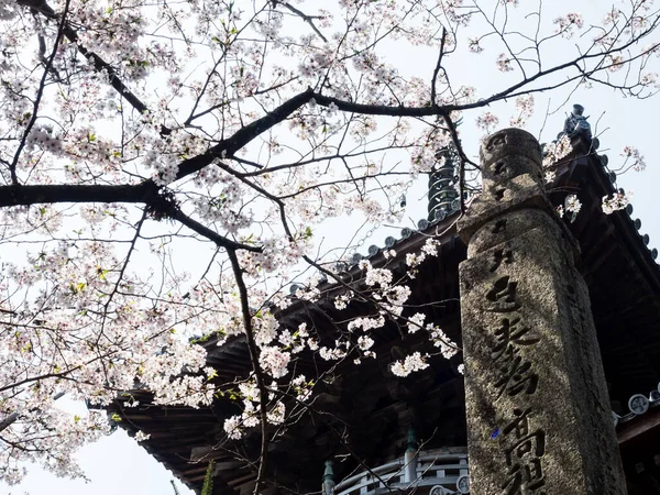 日本鸣人 2018年4月2日 石口朝圣的第一座庙宇 Ryozenji的樱花 — 图库照片