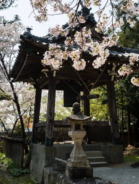 Flores Cerezo Ryozenji Templo Número Peregrinación Shikoku — Foto de Stock
