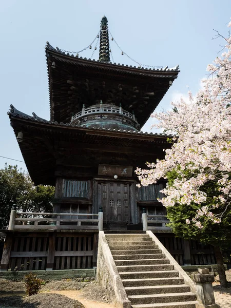 Naruto Japão Abril 2018 Flores Cerejeira Ryozenji Templo Número Peregrinação — Fotografia de Stock