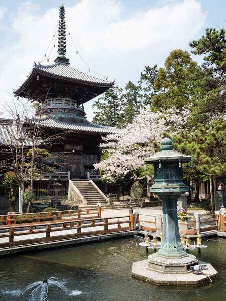 Naruto Japon Avril 2018 Fleurs Cerisier Ryozenji Temple Numéro Pèlerinage — Photo