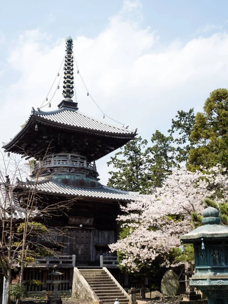 Naruto Japón Abril 2018 Flores Cerezo Ryozenji Templo Número Peregrinación — Foto de Stock