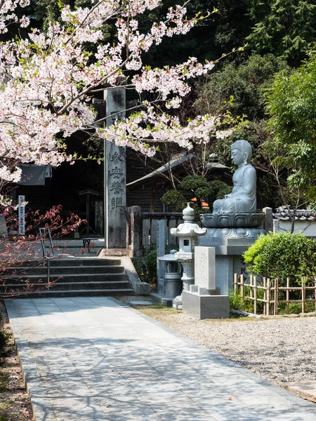 Naruto Japón Abril 2017 Cerezos Floreciendo Gokurakuji Templo Peregrinación Shikoku — Foto de Stock