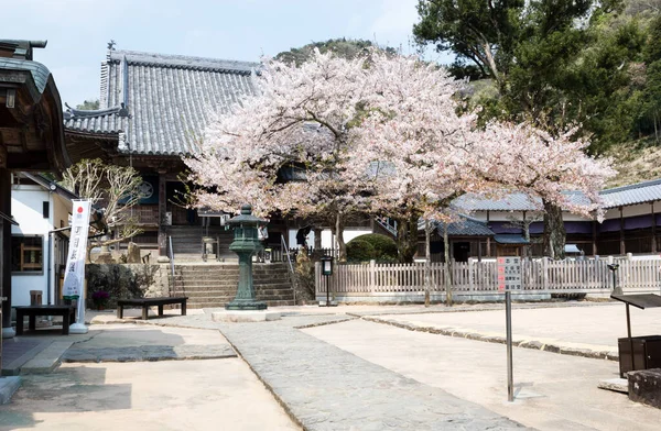 Naruto Japão Abril 2018 Primavera Dainichiji Templo Número Peregrinação Shikoku — Fotografia de Stock