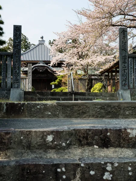 Tokushima Japonia Kwietnia 2018 Wiosna Jizoji Świątynia Pielgrzymce Shikoku — Zdjęcie stockowe