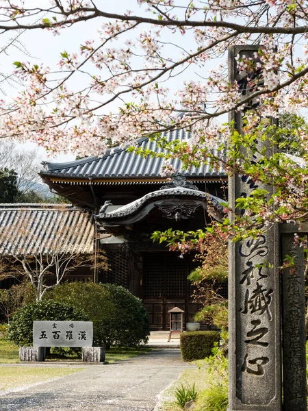 Токусіма Японія Квітня 2018 Квітка Вишня Джидзіджі Храм Паломництві Шікоку — стокове фото
