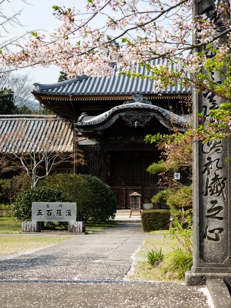 Токусіма Японія Квітня 2018 Квітка Вишня Джидзіджі Храм Паломництві Шікоку — стокове фото