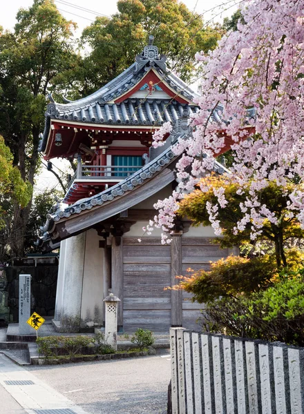 Tokushima Japonya Nisan 2018 Anrakuji Tapınağının Girişinde Çiçek Açan Kiraz — Stok fotoğraf