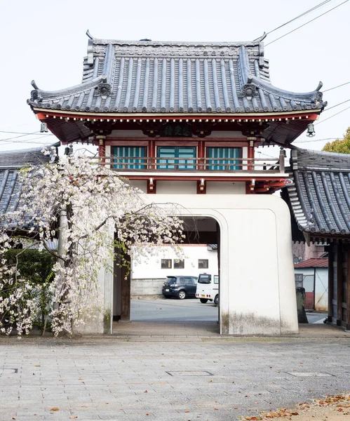 Tokushima Japón Abril 2018 Cerezo Florece Entrada Anrakuji Templo Número — Foto de Stock