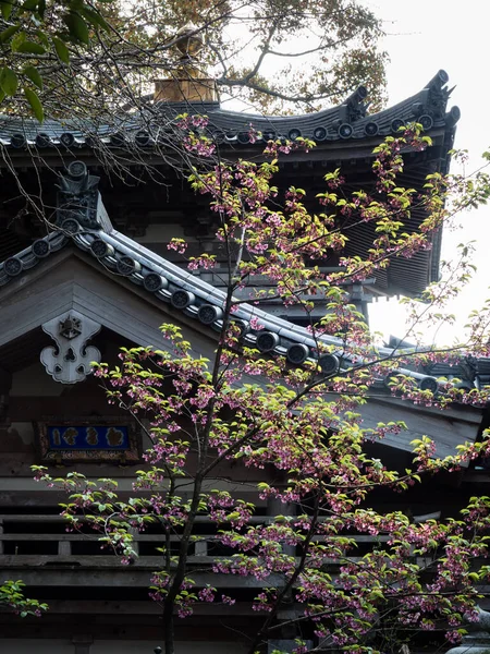 Tokushima Japan April 2018 Cherry Blossoms Anrakuji Temple Number Shikoku — Stock Photo, Image