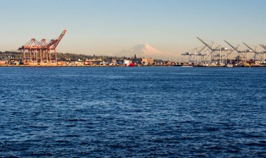 Seattle, WA, ABD - 1 Nisan 2016: Günbatımında Seattle limanında kargo vinçleri ve arka planda Rainier Dağı