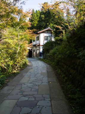 Minamiaso, Japonya - 6 Kasım 2016: Aso-Kuju Ulusal Parkı 'ndaki Shirakawa Springs' e giden yol