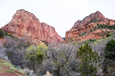 Utah, Zion Ulusal Parkı 'ndaki Kolob Canyons' daki Red Rock manzarası, ABD