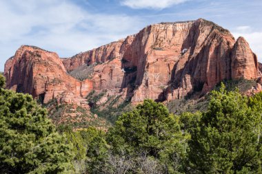 Utah, Zion Ulusal Parkı 'ndaki Kolob Canyons' daki Red Rock manzarası, ABD