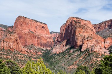 Utah, Zion Ulusal Parkı 'ndaki Kolob Canyons' daki Red Rock manzarası, ABD