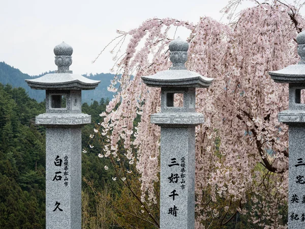 徳島県 2018年4月3日四国巡礼12番目のお寺 称賛寺付近の石灯籠と桜 — ストック写真