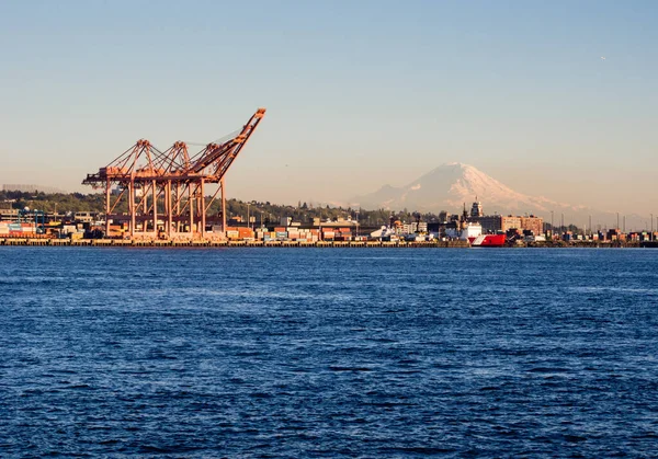 Seattle Usa April 2016 Γερανοί Φορτίου Στο Λιμάνι Του Seattle — Φωτογραφία Αρχείου