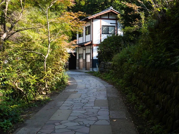 Minamiaso Японія Листопада 2016 Walkway Leading Shirakawa Springs Known His — стокове фото