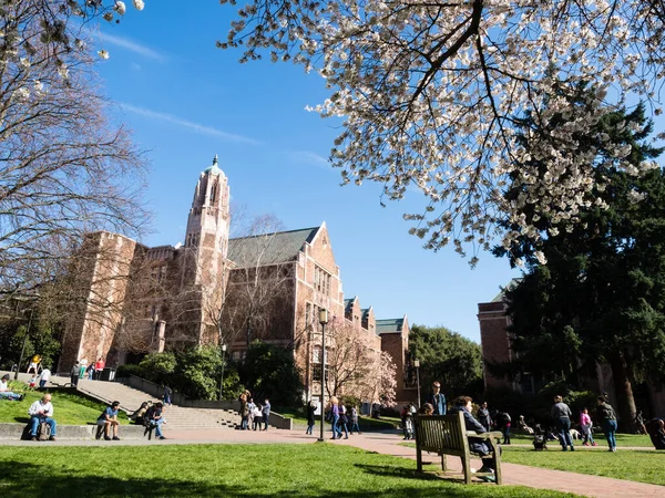 Seattle, ABD - 20 Mart 2018: Vişne çiçeği mevsiminde Washington Üniversitesi Kampüsü