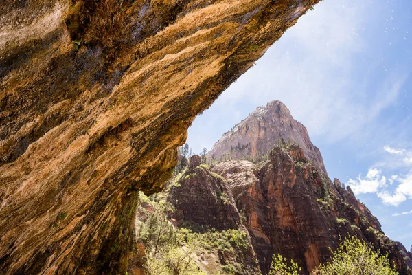 Weeping Rock Parc National Zion Utah États Unis — Photo