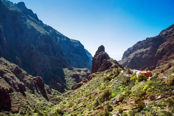 Tropical, sharp mountains, greenery, landscape — Stock Photo, Image