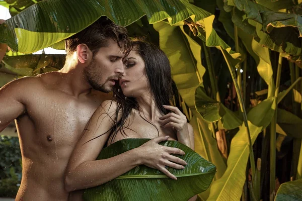 Portret zmysłowy para w lesie tropikalnym — Zdjęcie stockowe