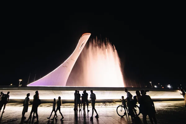 Sotschi, russland - 1. august 2016. Sotschi singender brunnen — Stockfoto