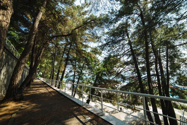 Caminhos sombrios ao longo do passeio marítimo — Fotografia de Stock