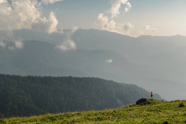 Rosa Khutor Kafkas Dağları