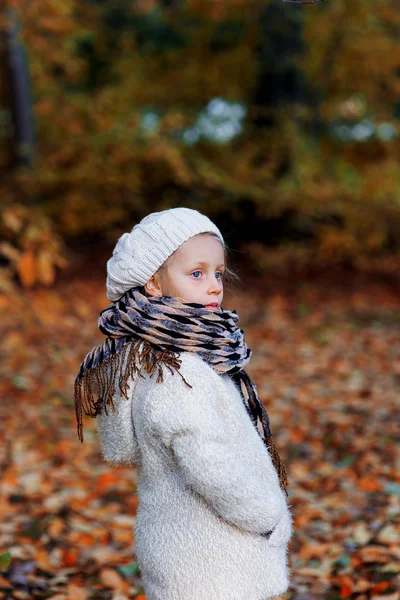 Retrato de uma menina no parque de outono dia frio — Fotografia de Stock