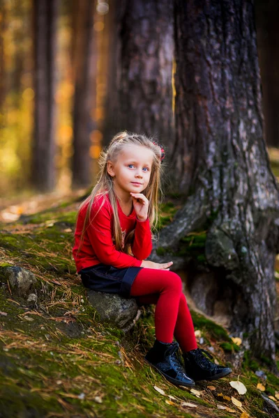 Menina pensativa senta-se em uma rocha no parque de outono — Fotografia de Stock