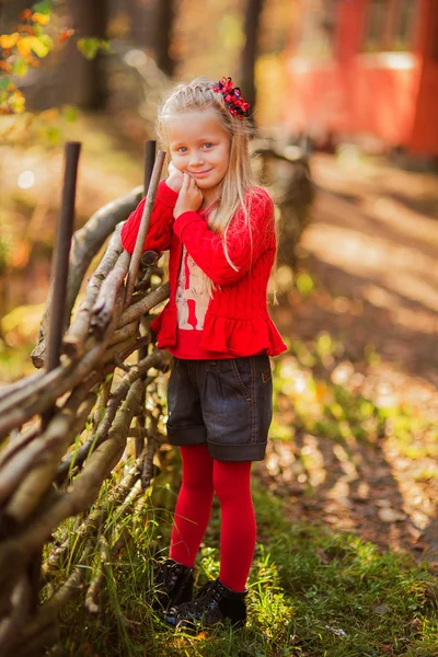 Девушка в осеннем парке, стоящая у забора — стоковое фото